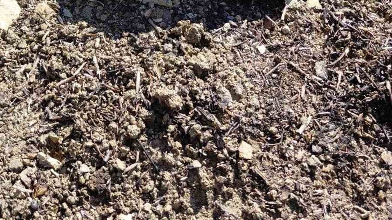 Mudurnu'da ev bahçesinden başlayan yangın tarlalara ve ormanlık alana sıçradı