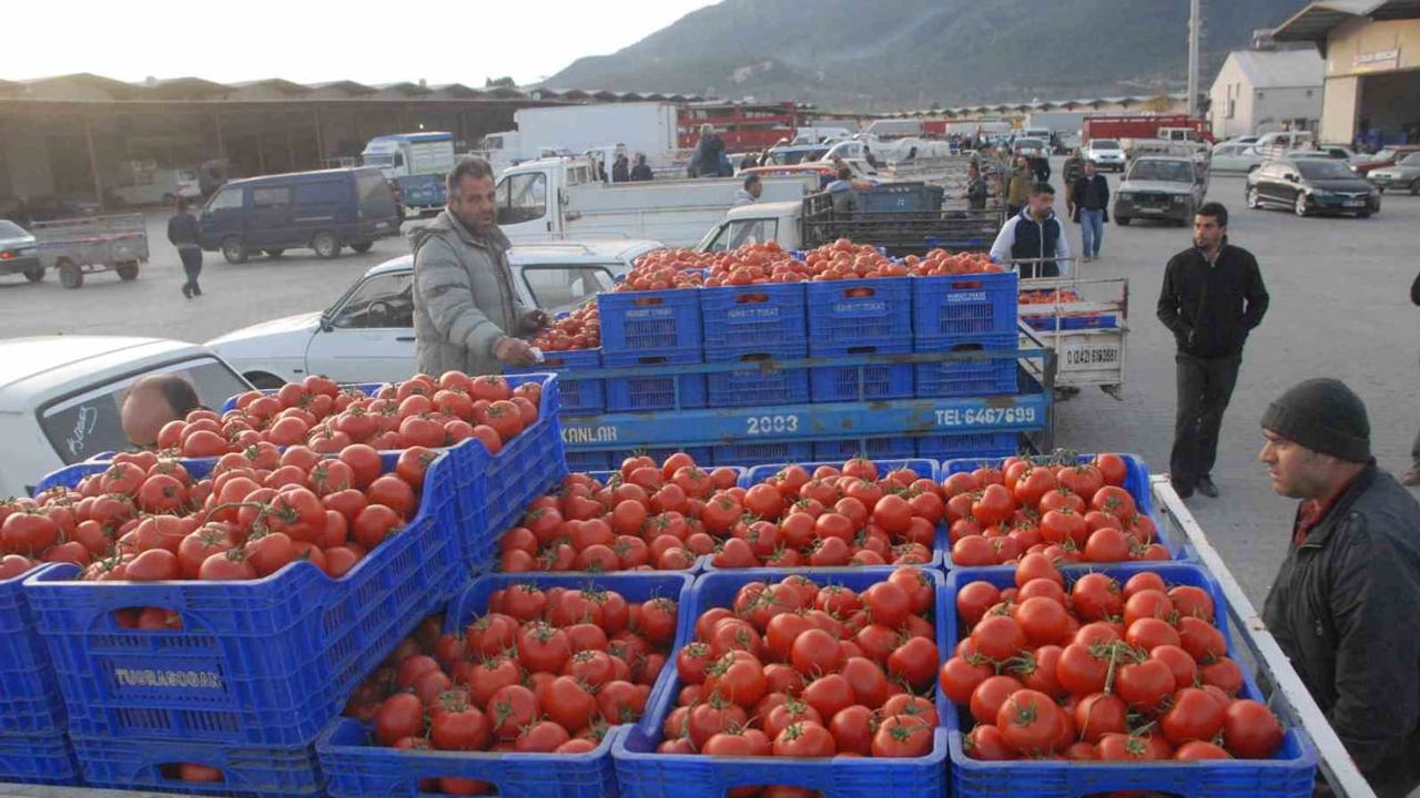 Muğla'nın ağustosu ihracatla güçlendi: dış ticaret fazlası 95,4 milyon dolar