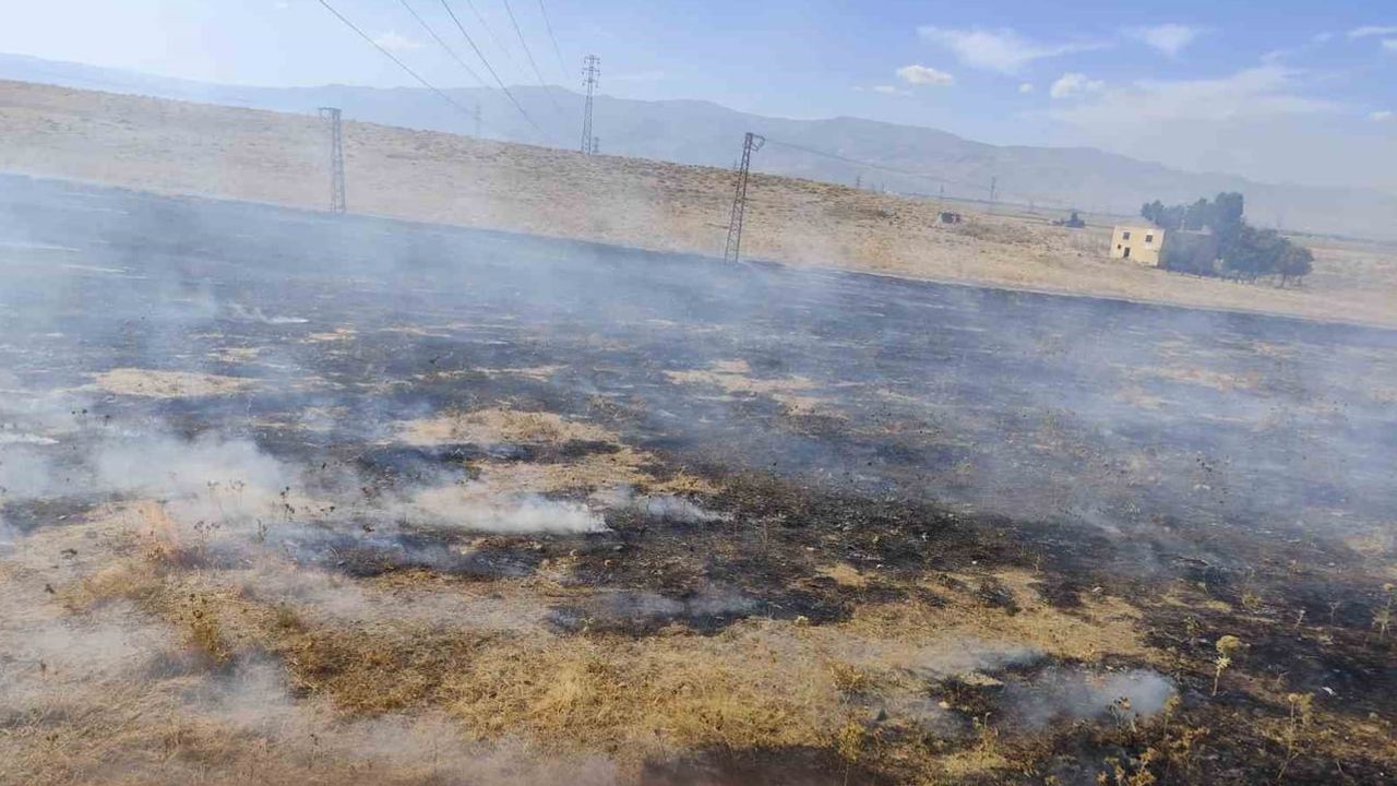 Muş'ta bağları tehdit eden iki anız yangını itfaiye müdahalesiyle söndürüldü