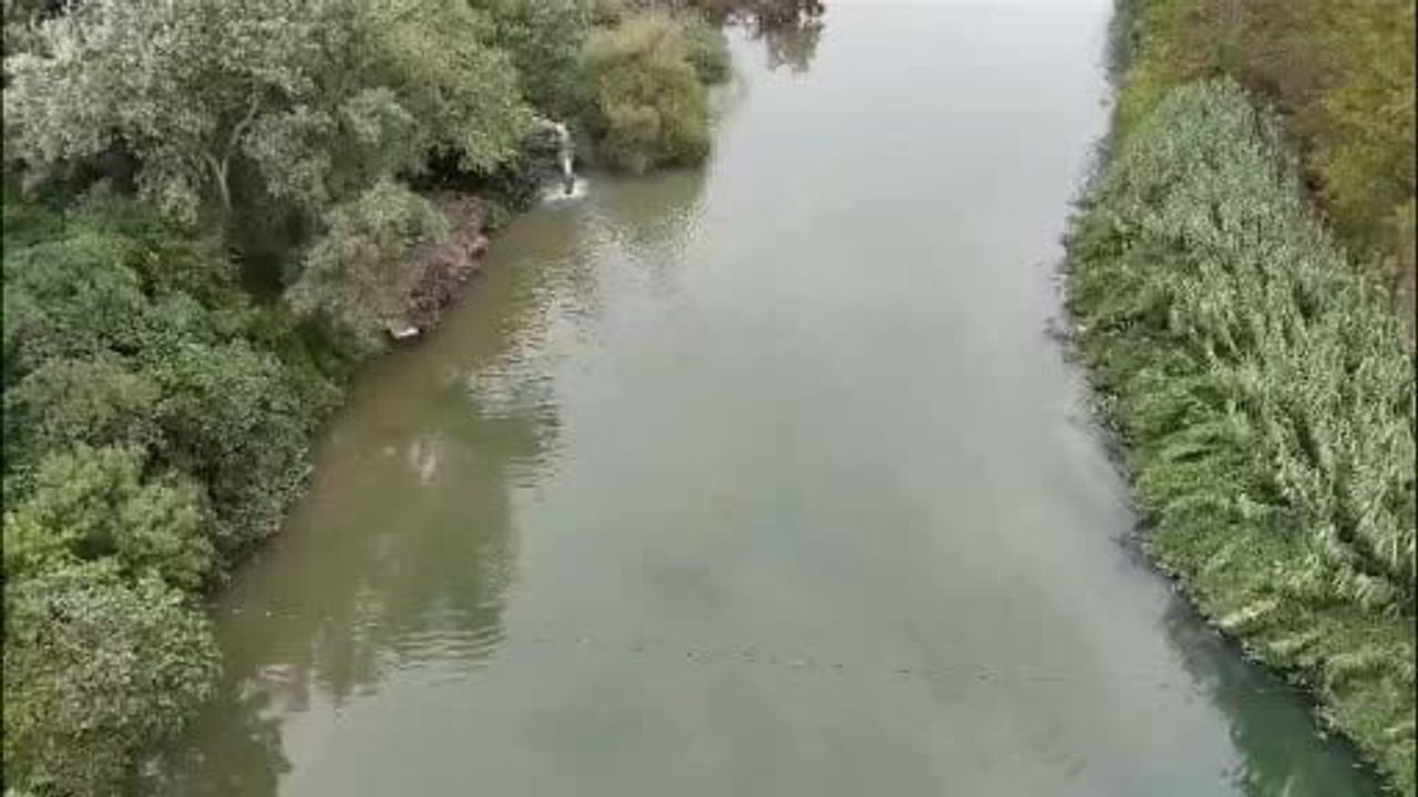 Mustafakemalpaşa çayı'nda tekrar eden balık ölümleri tepkileri artırdı