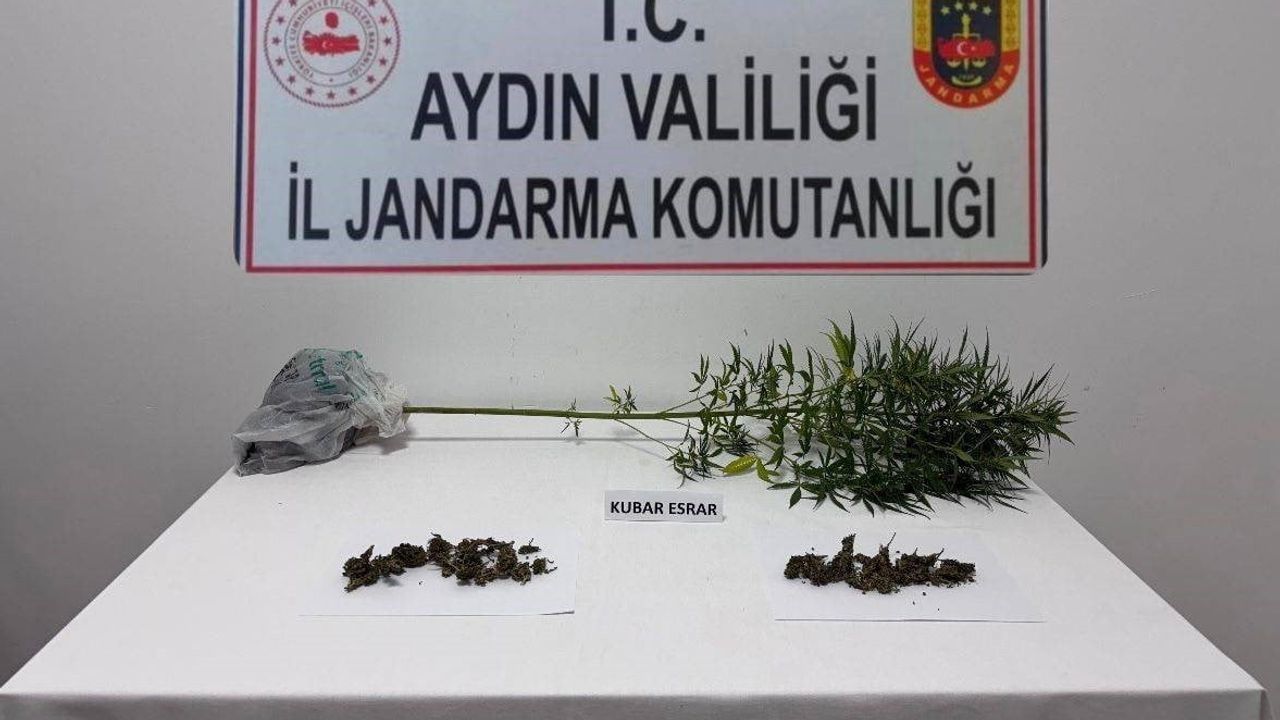 Narkotik köpeği desteğiyle evde kenevir ve esrar ele geçirildi