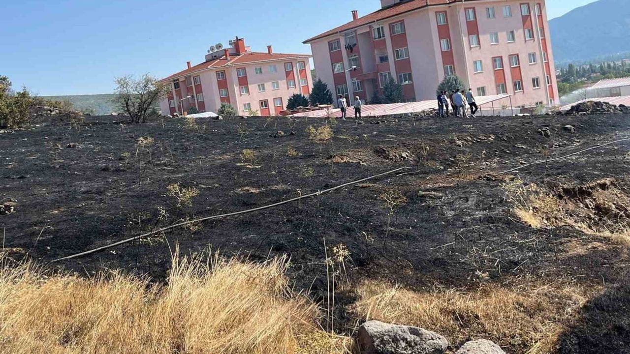 Naşa'da dağlık yangın itfaiye ve orman ekipleriyle kısa sürede söndürüldü