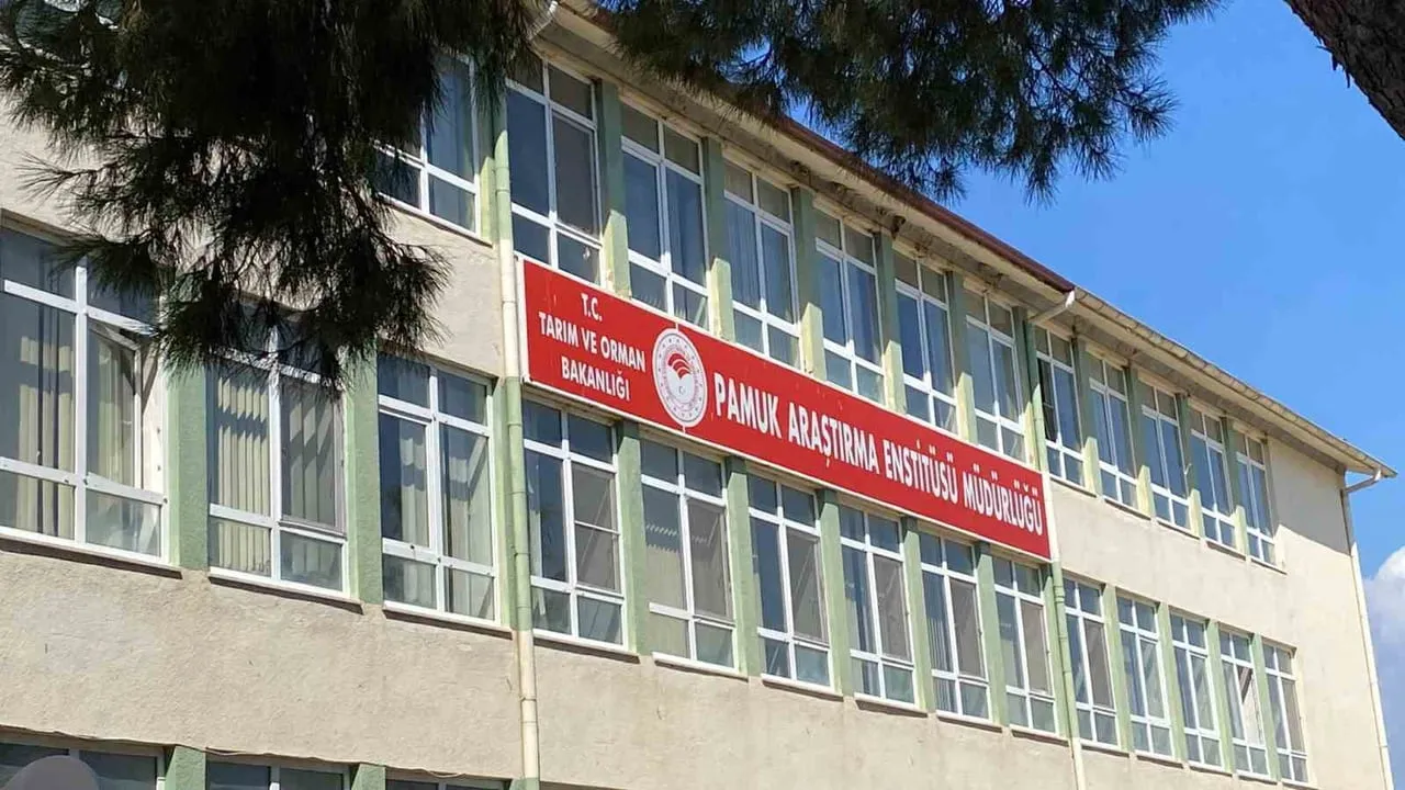Nazilli'de pamuk araştırma enstitüsü'ne rüşvet soruşturması: 4 şüpheli adliyeye sevk edildi