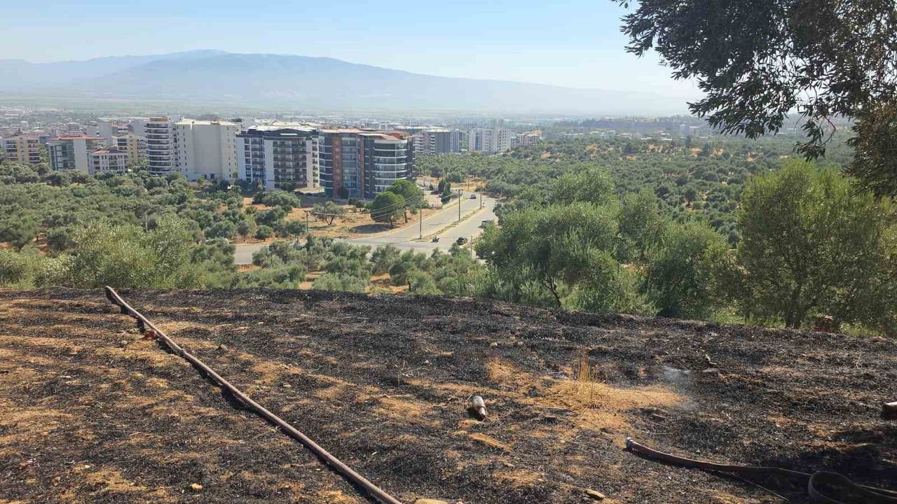 Nazilli Pınarbaşı'nda çıkan yangın iki dönüm zeytinliği etkiledi