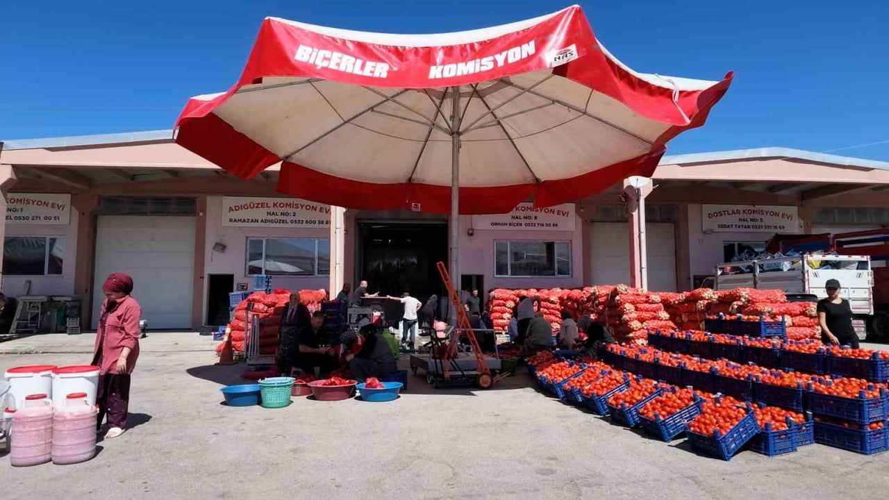 Niğde'de kışlık salça hazırlığı halde pratik hizmetlerle başladı