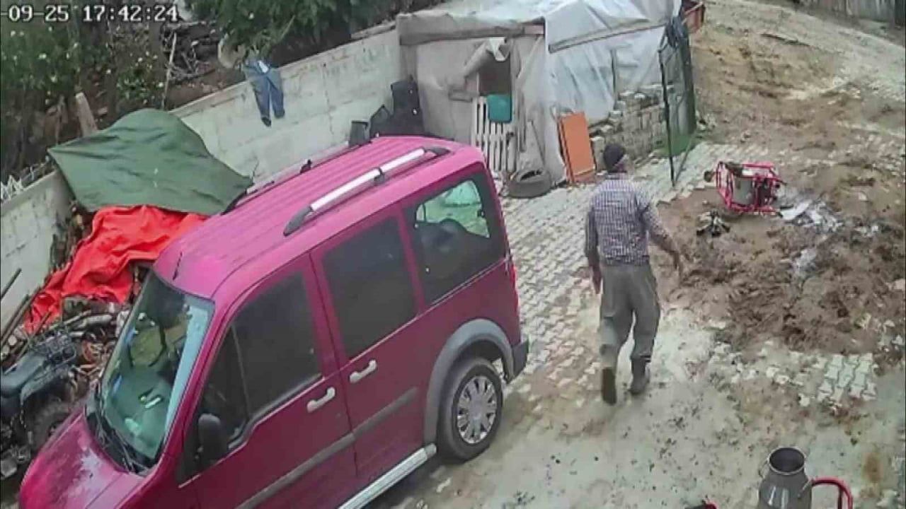 Öfkeli boğanın boynuzuna dolanan ip süt sağım makinesini sürükledi