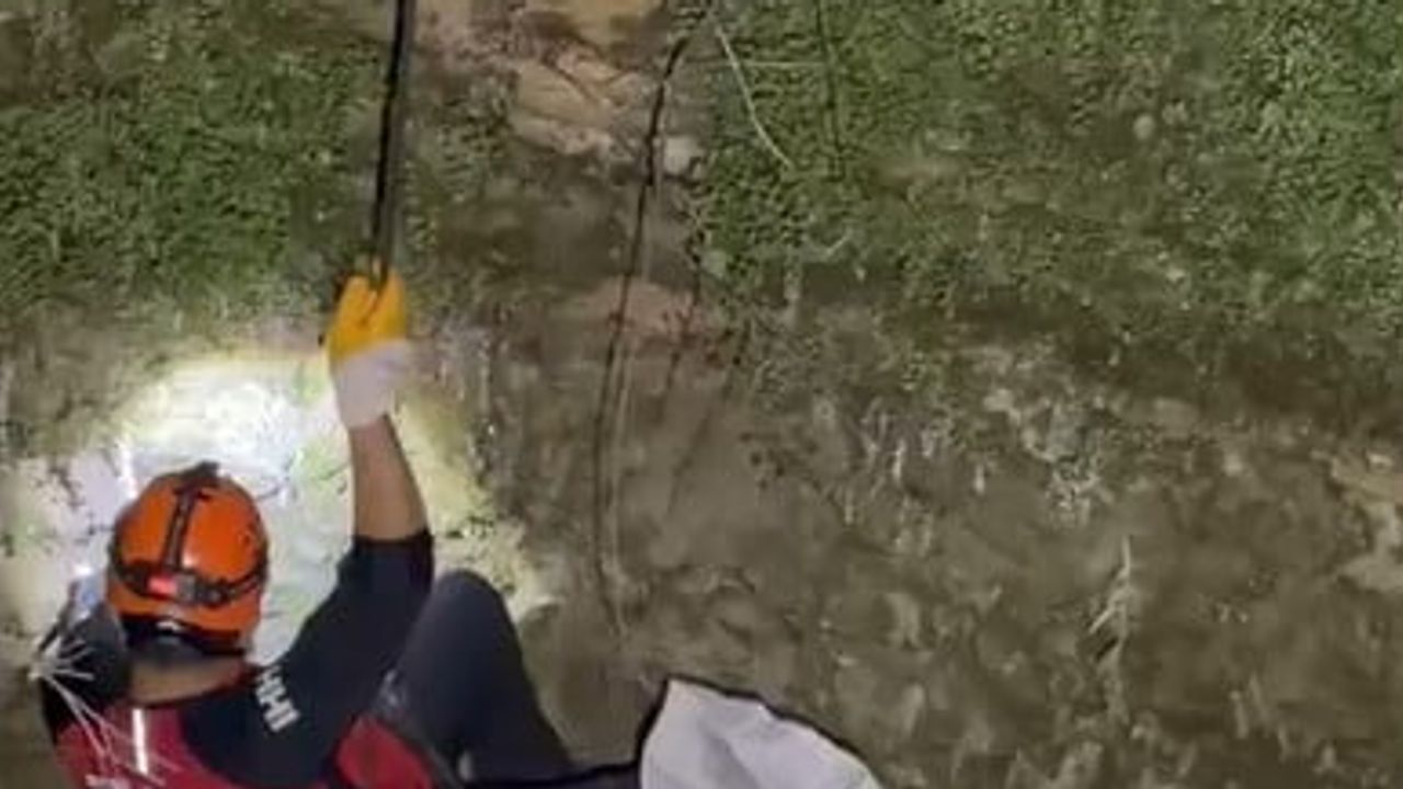 Okurcalar'da 10 metrelik su kuyusundan mahsur kedi ekiplerce kurtarıldı