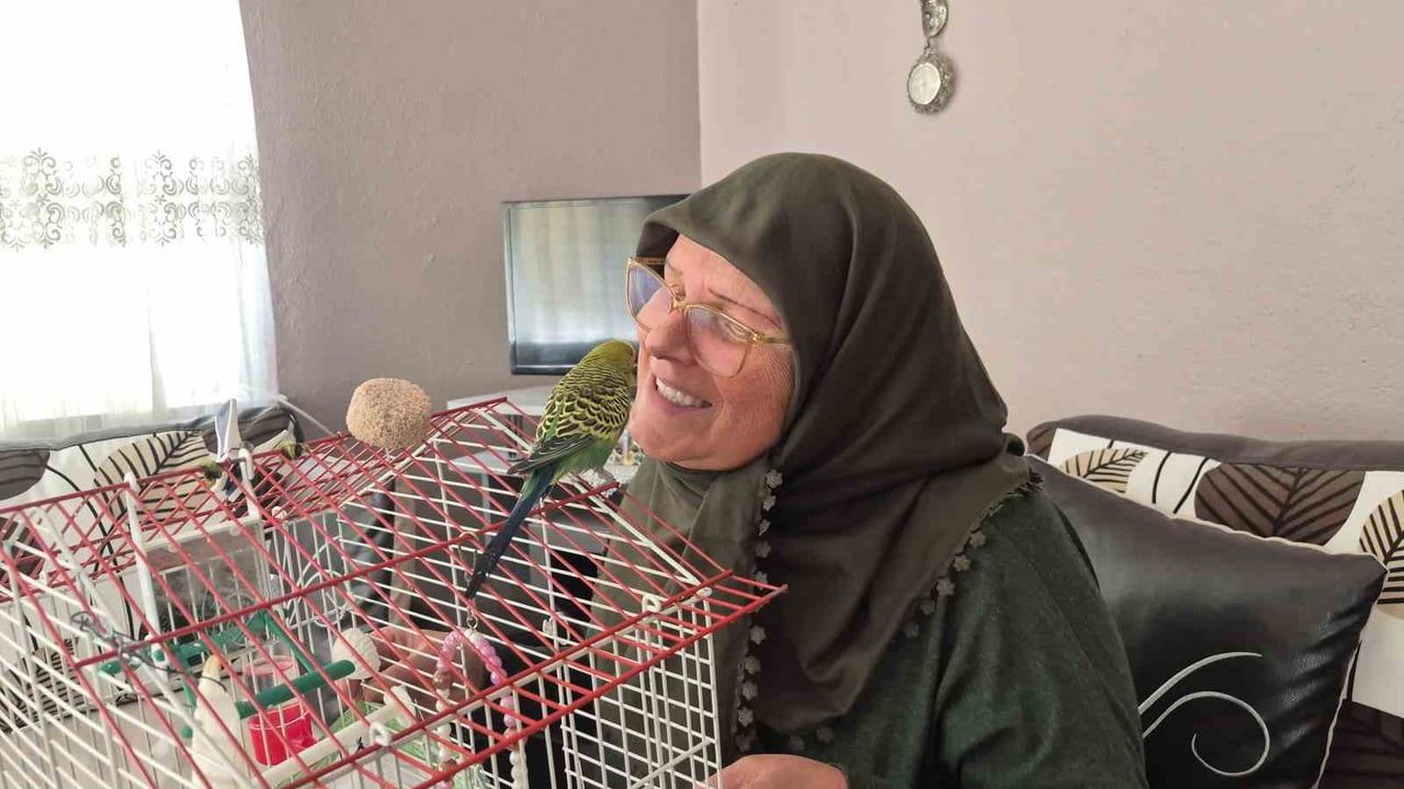 Ölümden dönen muhabbet kuşu 67 yaşındaki kadının can yoldaşı oldu
