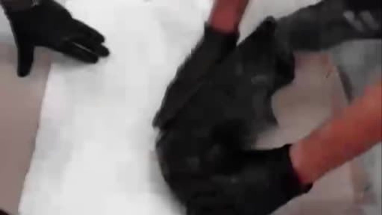Ordu'da sınır bağlantılı operasyon: İran'dan geldiği değerlendirilen metamfetaminle 4 kişi tutuklandı