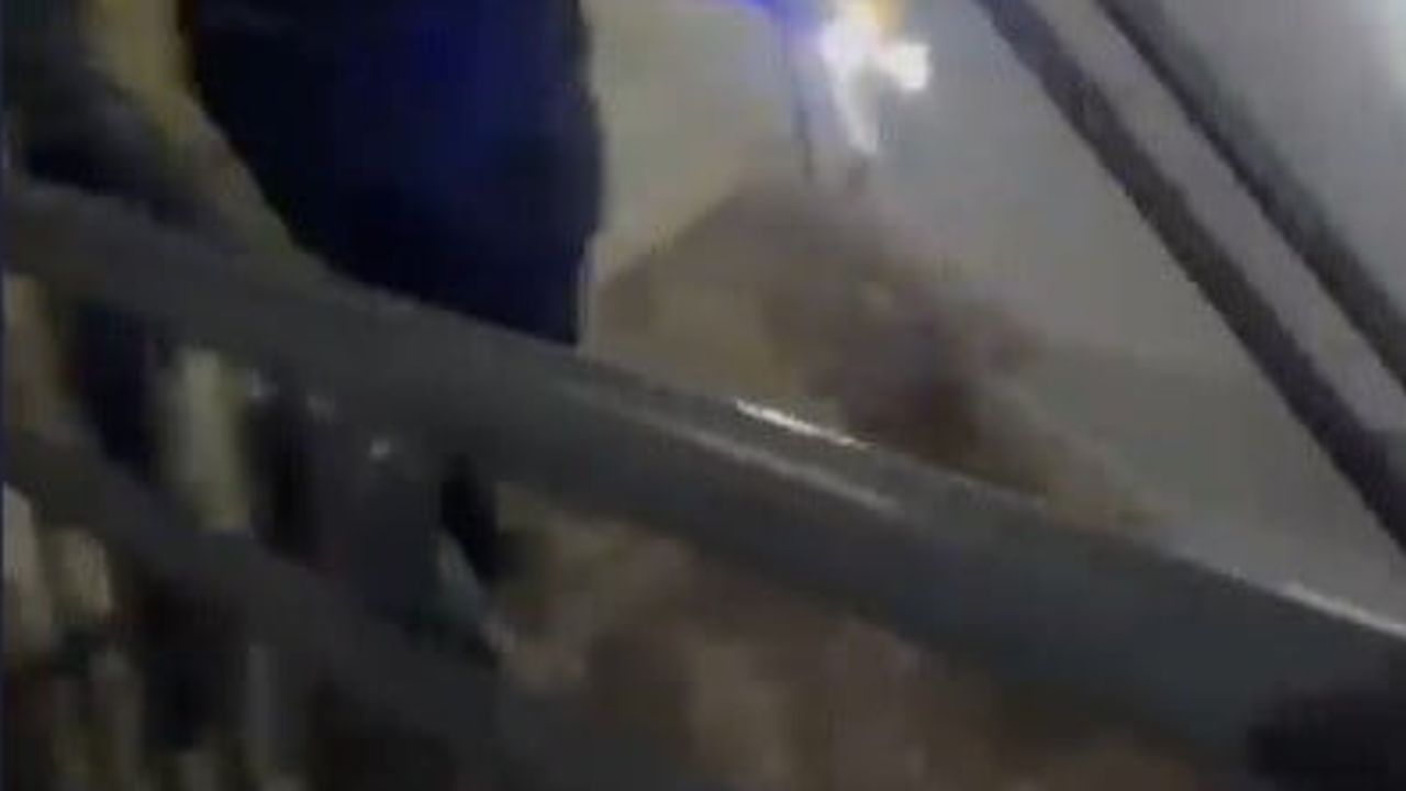 Osmaniye'de üçüncü kata çıkan tilkinin kısa mahalle macerası doğal yaşamla sonlandı