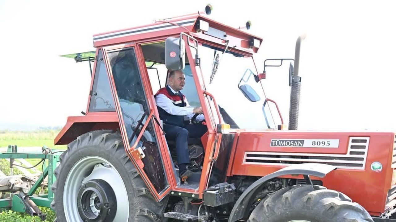 Osmaniye'nin 'fit fıstık' hedefi: 50 bin ton rekolteyle yeni katma değer