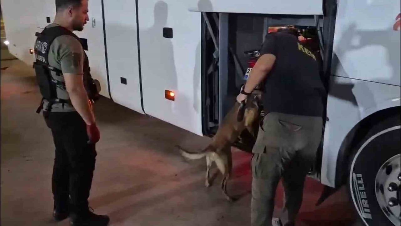 Otobüs bagajında yakalanan 17 kilo 300 gram skunk 69 bin kişiyi zehirleme potansiyeli taşıyor