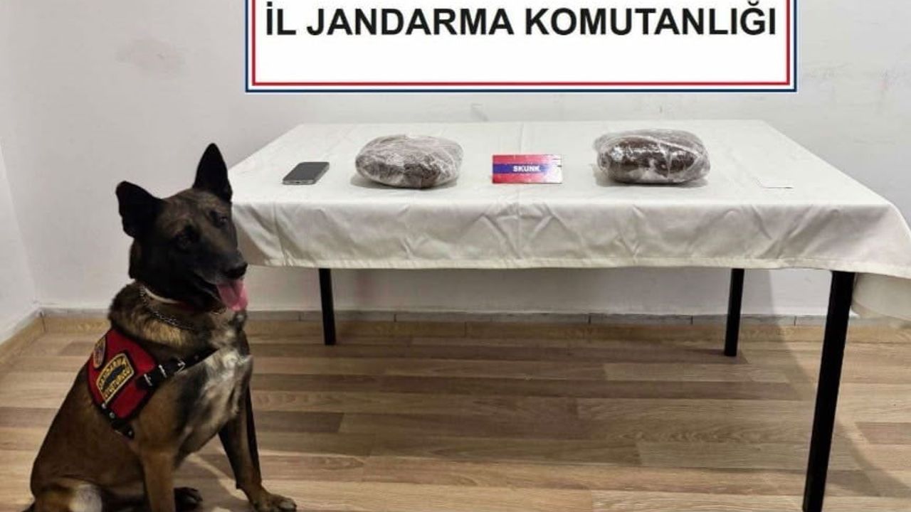 Otobüs yolculuğu sırasında ele geçirilen skunk ve kokain bir tutuklamaya neden oldu
