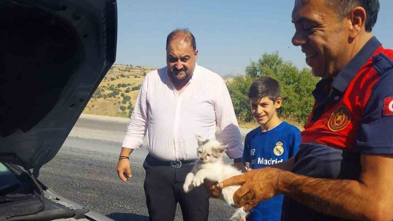 Otomobil motoruna sıkışan kedi itfaiye tarafından kurtarıldı