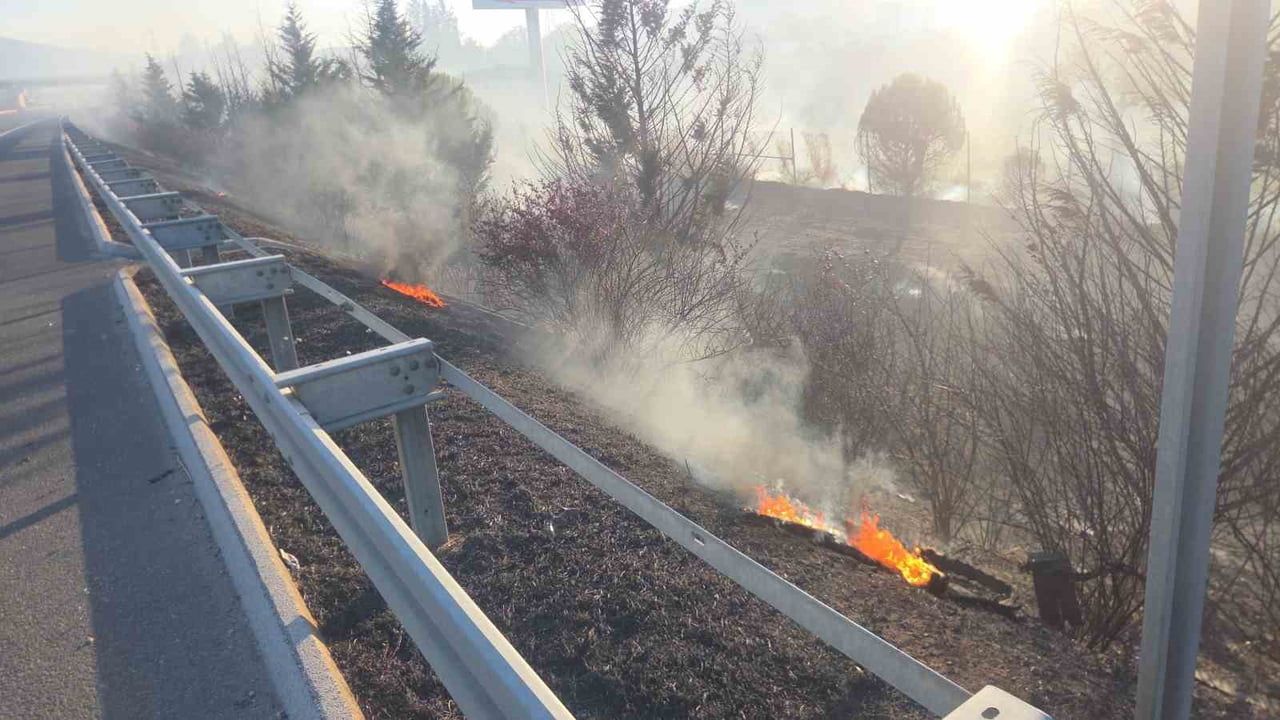Otoyol kenarında başlayan alevler rüzgarla ağaçlığa ulaştı