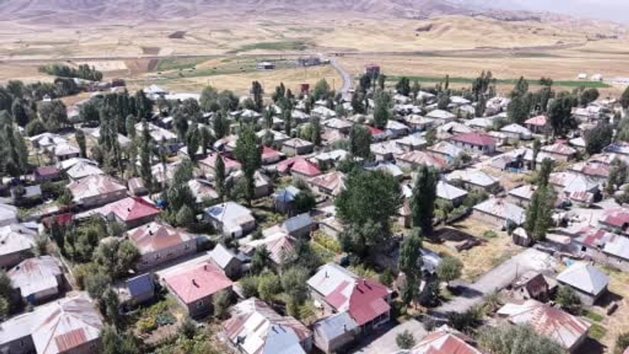 Ovada düzenin ve dayanışmanın simetrisi: Doğanlı köyü