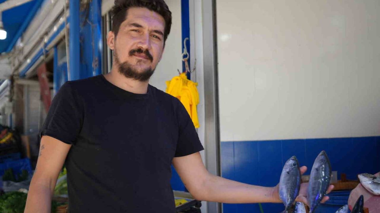 Palamut bereketi mutfaklara ulaşacak