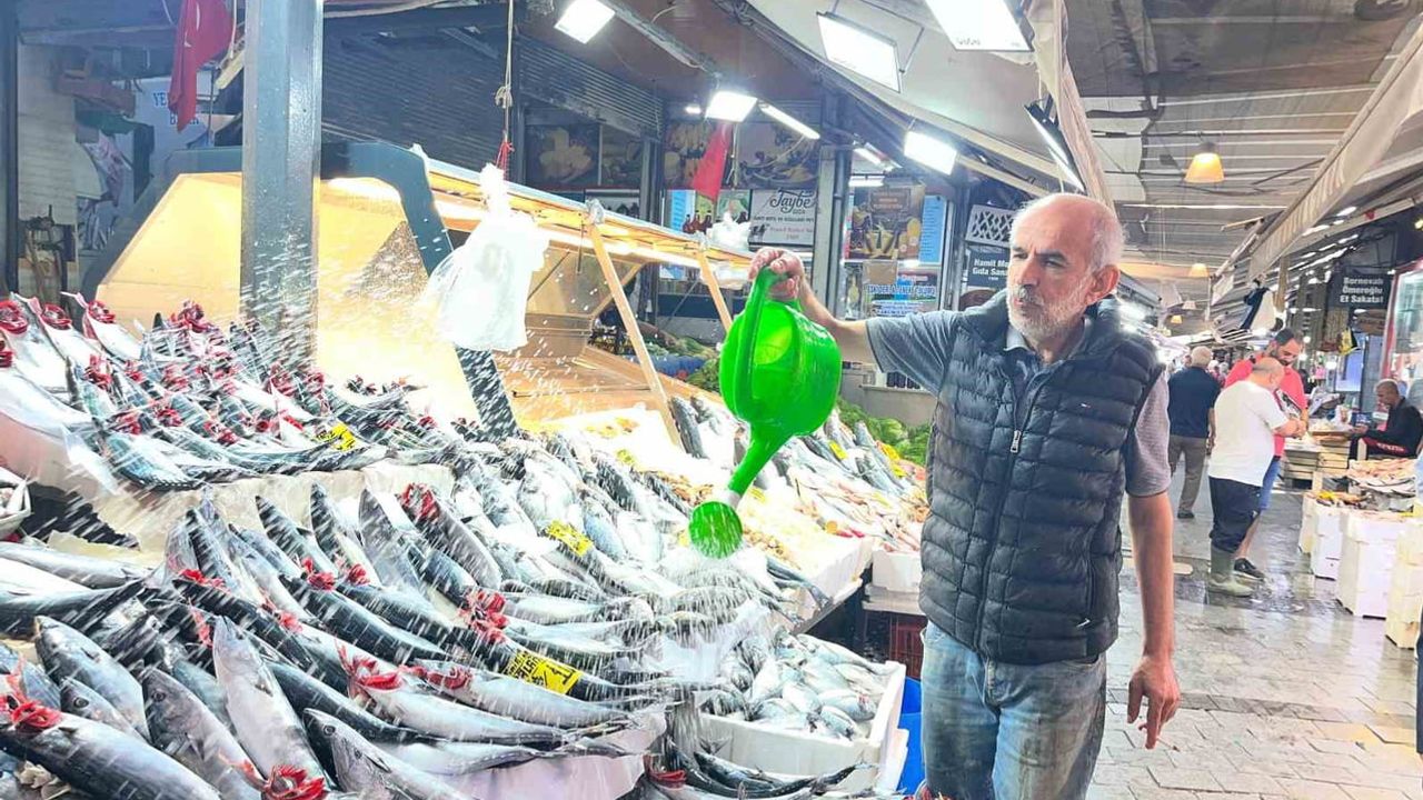 Palamut tezgahlarda: İzmir'de balık tüketimi canlandı