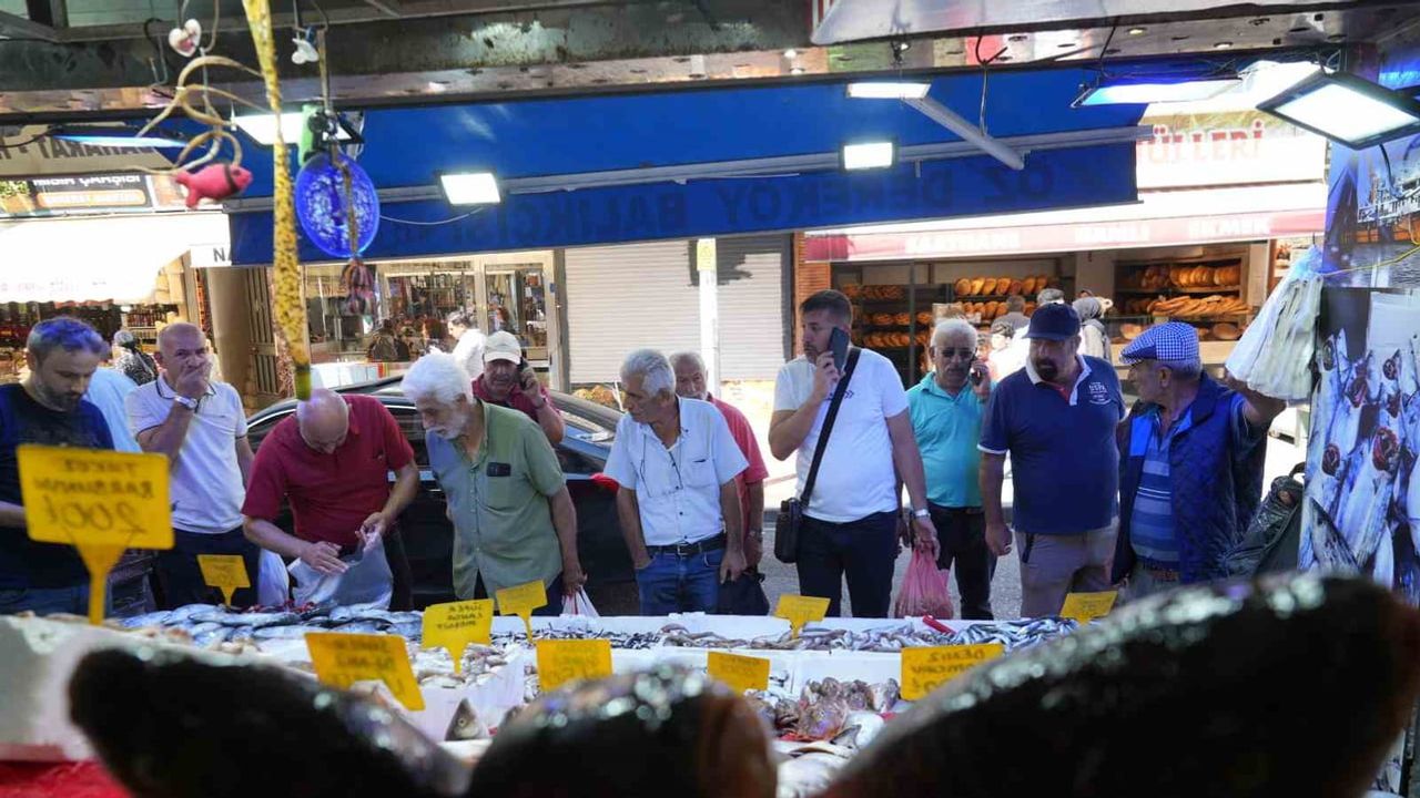 Palamutta sezon bereketi: Samsun'da tanesi 80 liraya düştü