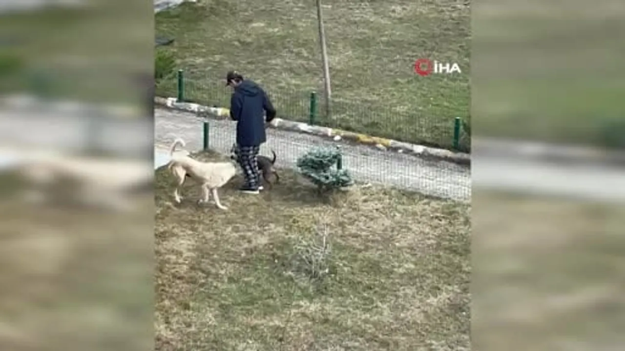 Palandöken sitesi sakinlerinden kaymakama destek: gerçeklerin açığa çıkarılmasını istiyorlar