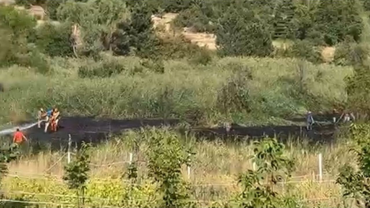 Pamukkale'de alevler sınırda durdu: tarım yangını ormana ulaşmadan kontrol altına alındı