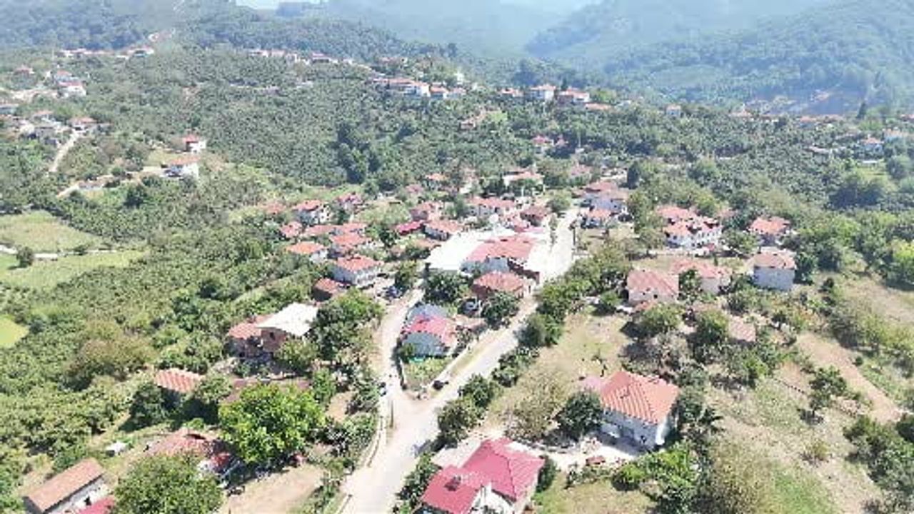 Paralı köyü kolektif üretimle fındığı çikolataya dönüştürdü