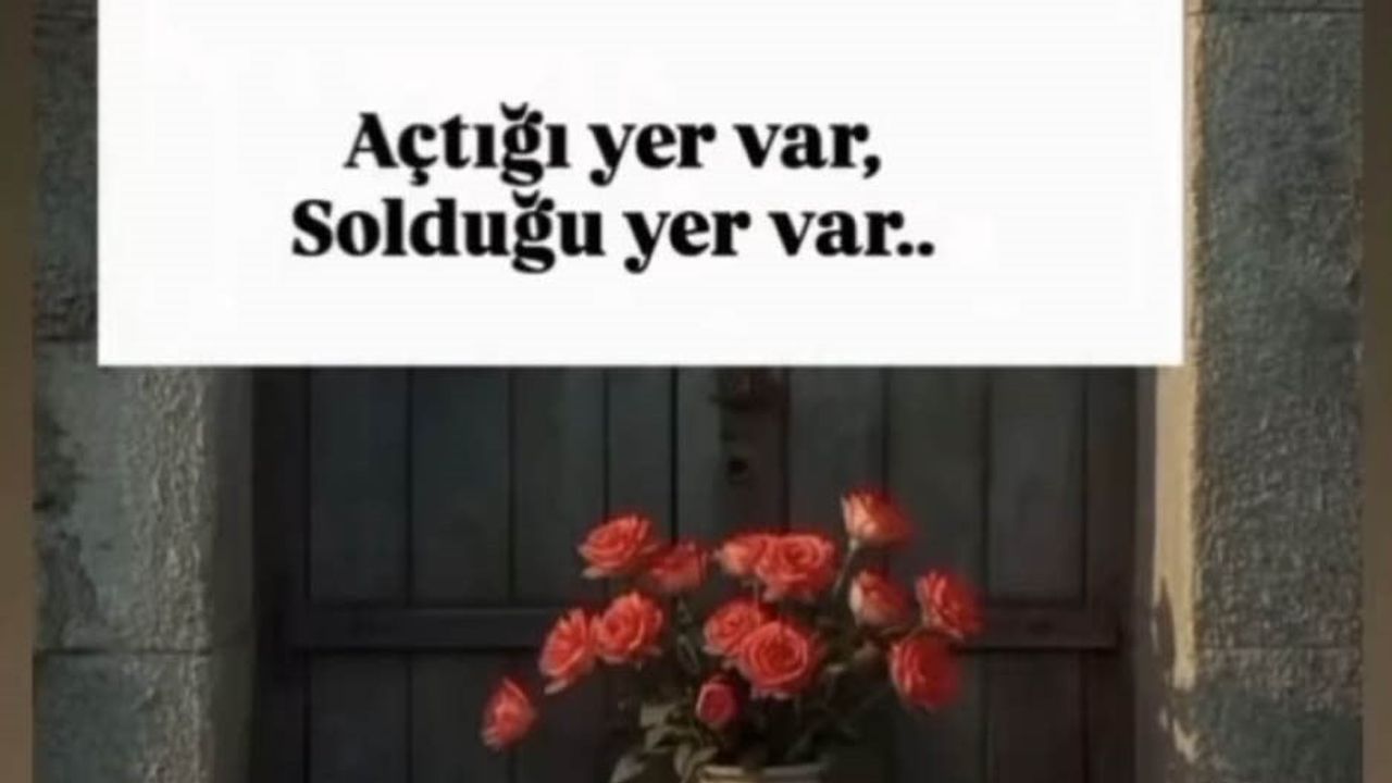 Payas'ta son paylaşımları konuşulan Emine Çil cinayeti