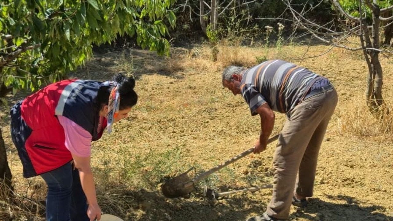Pazarlar'da toprak analiziyle gübreleme kararları akılcılaşıyor
