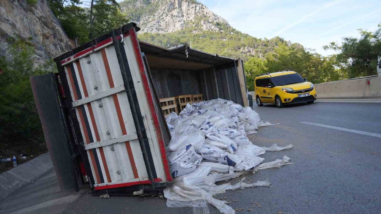 Pelet yüklü kamyon virajı alamayıp bariyerlere çarptı, kasası devrildi