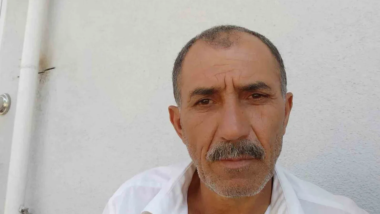 Perçem köyünde arı sokması sonucu Ünal Türk hayatını kaybetti
