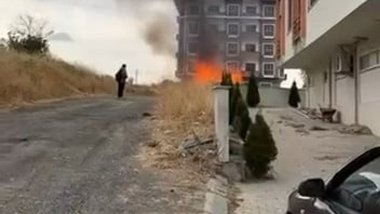 Pireyi tütsüyle kovma girişimi kümese mal oldu