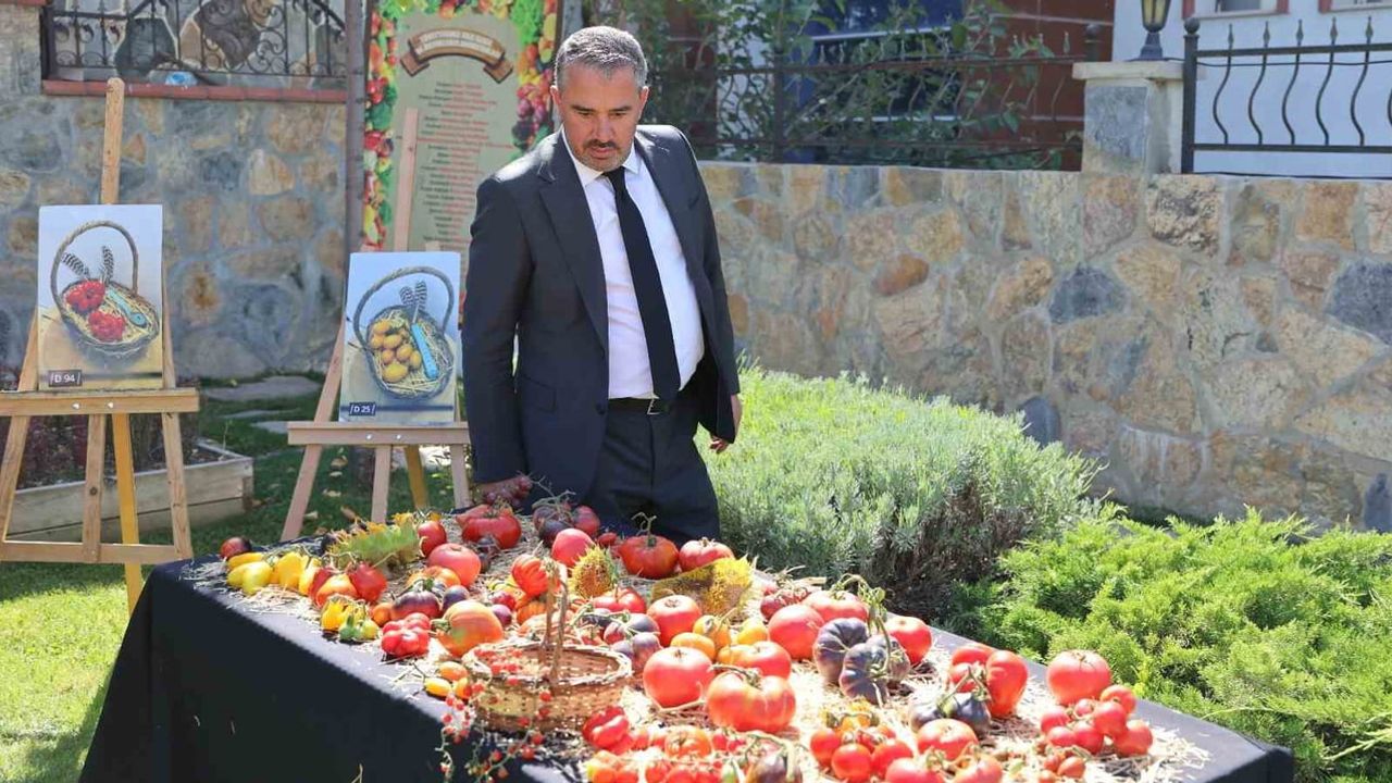 Pursaklar'da ata tohumlarının bereketi: Endemik Vadi'nde 2026 hasadı tamamlandı