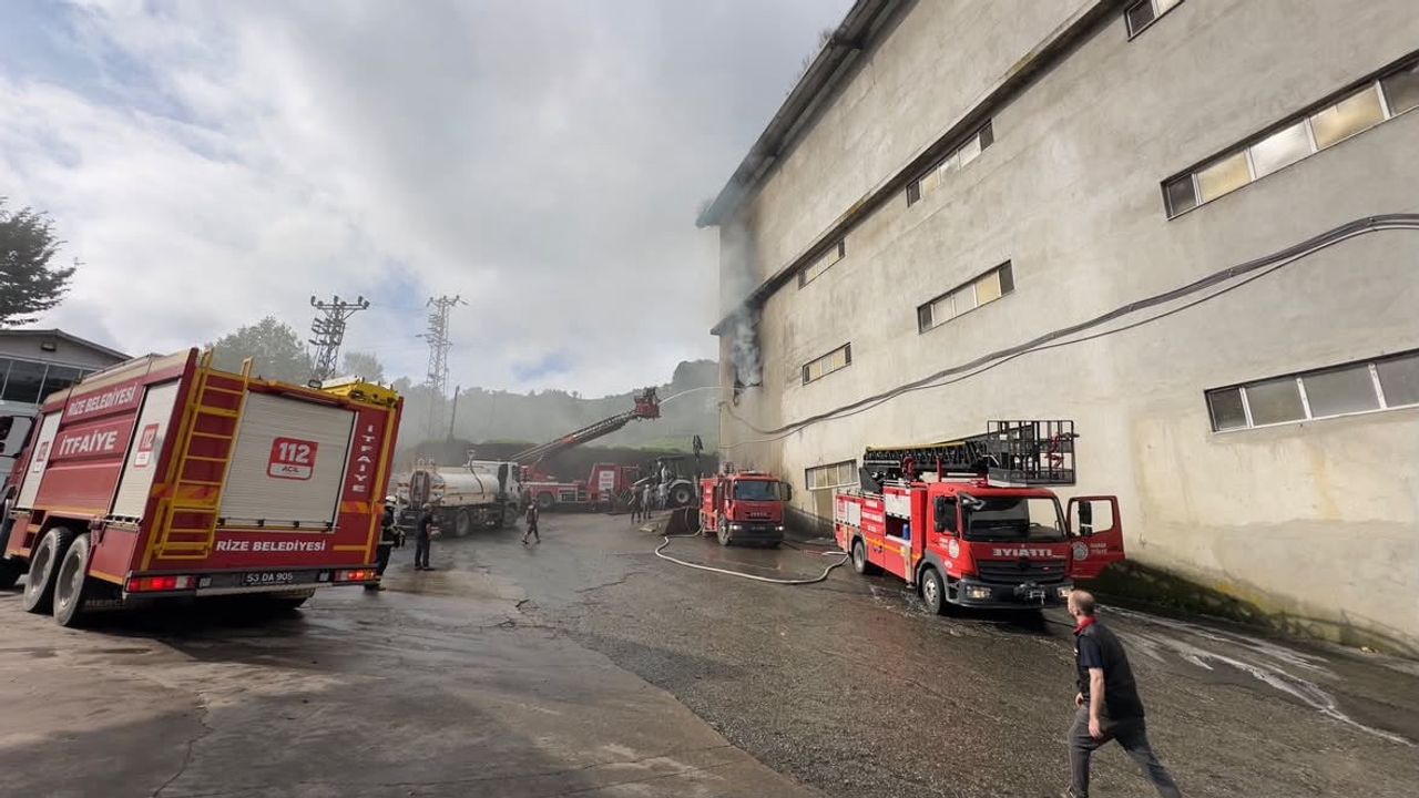 Rize'de çay fabrikasının ambalaj deposunda çıkan yangın kontrol altına alındı