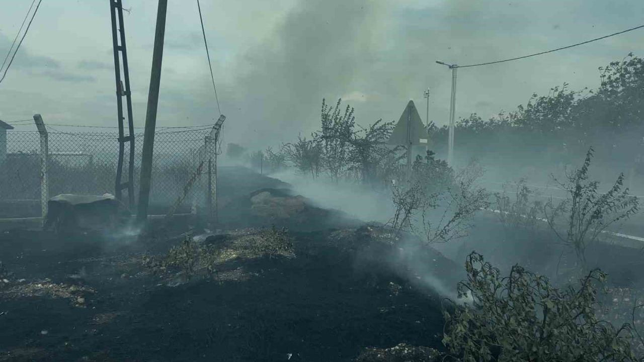 Rüzgarın etkisiyle yayılan duman yolları kapadı: Muratlı'da mera yangını kontrol altına alındı