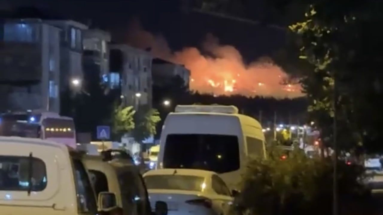 rüzgarla büyüyen otluk yangını tarım arazilerini ve ağaçlığı tehdit etti