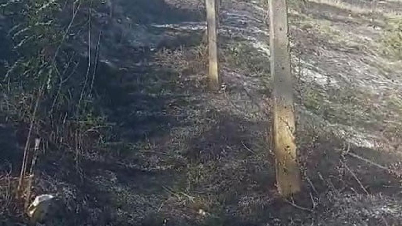 Rüzgarla yayılan otluk yangını Honsalar'daki mezarlara zarar verdi