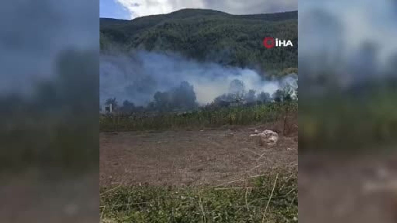 Safranbolu'da ot yangını baraka küle döndü, evler korundu