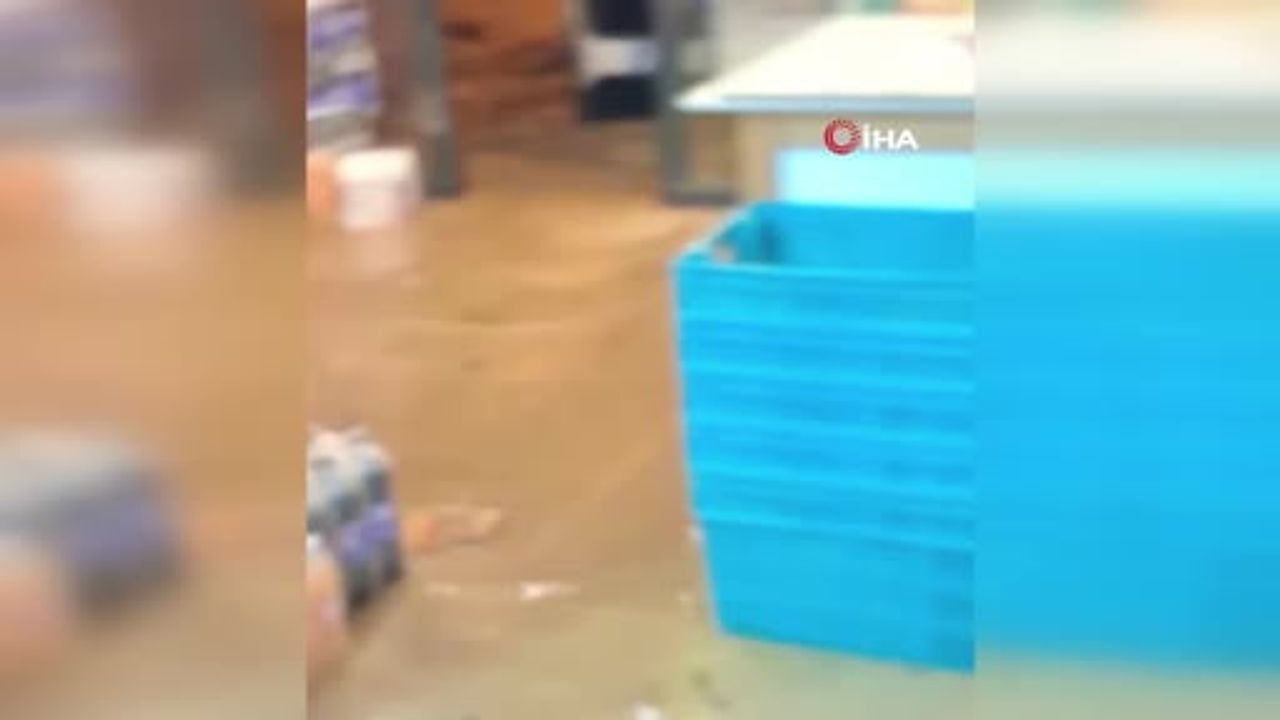 Sahil ilçelerinde yaşam durdu; Rize'de yollar göle döndü