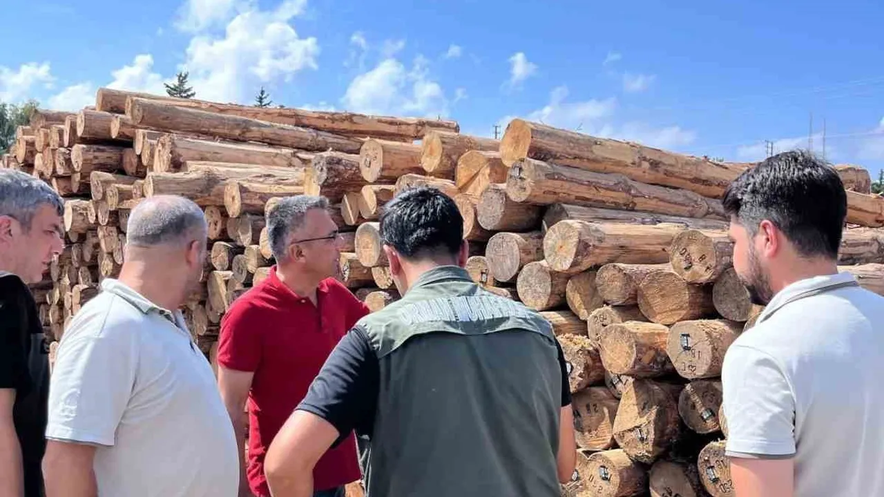 Sahil orman deposunda barkodlu ürün denetimi: İlkay Günay yerinde inceleme yaptı