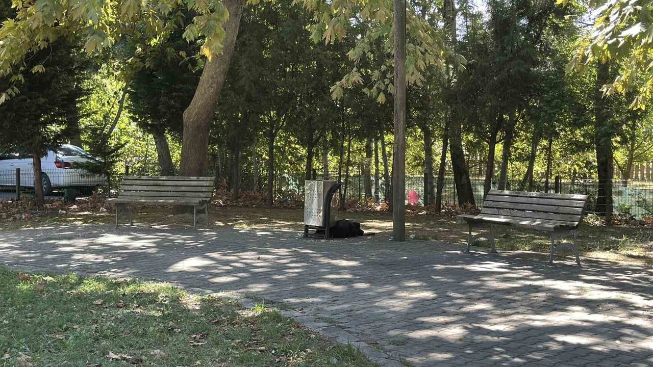 Sakarya'da cami önündeki parkta 62 yaşındaki kişinin şüpheli ölümü