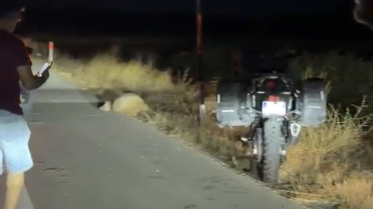 Salda Gölü yolu yakınlarında motosiklet kazası: üç koyun telef oldu