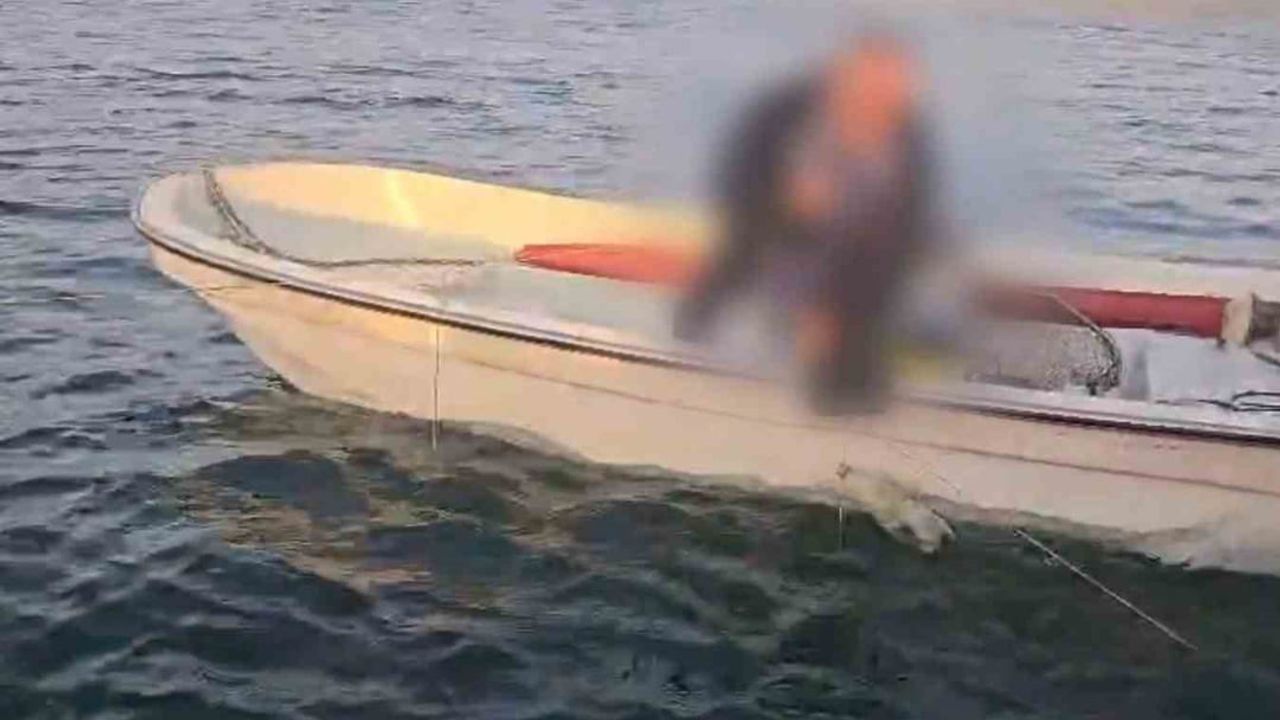 Sapanca Gölü'nde gizli paraket sökümü: canlılar suya geri bırakıldı