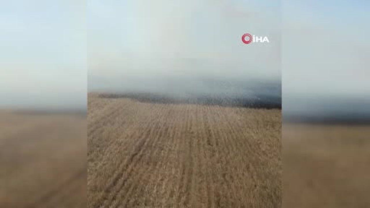 Saraykent'te anız yangını 150 dönüm otluk alan yandı