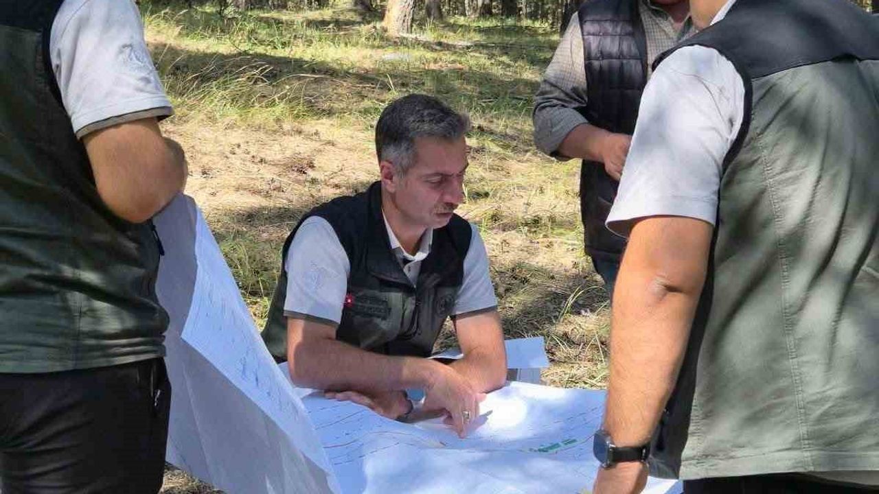 Sarıkamış şehitleri orman parkı ziyaretçilere yönelik yeşil alanlara kavuşuyor
