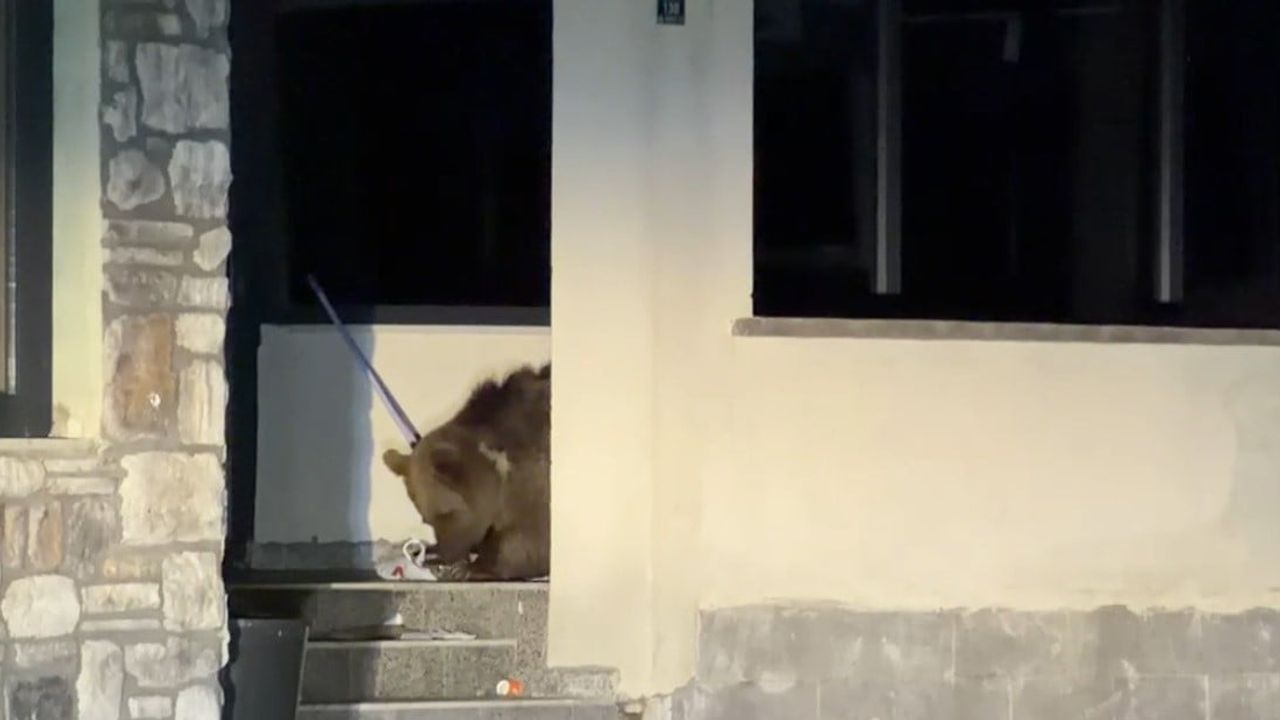 Sarıkamış’ta avluya giren bozayı ev sahibini araçta beklemeye zorladı