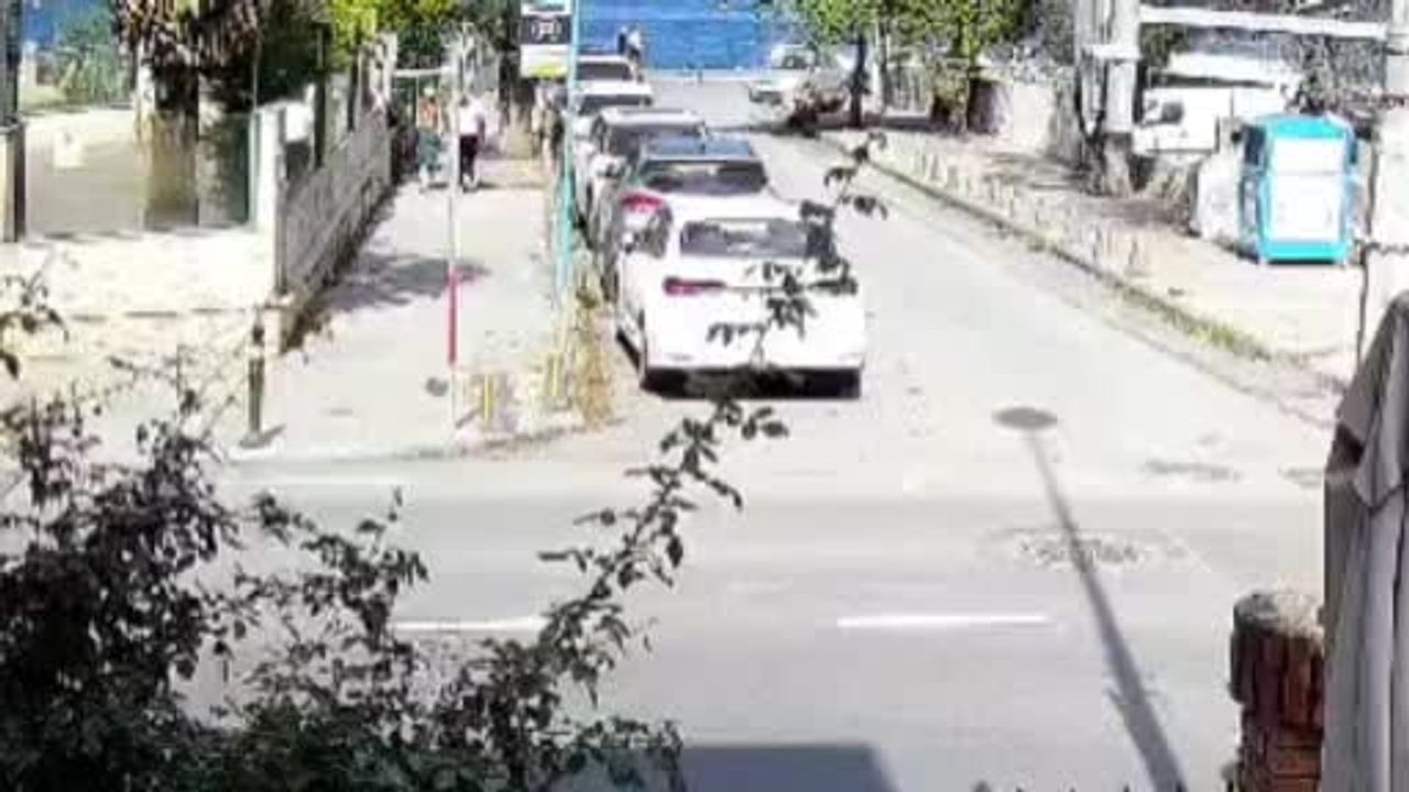 Sarıyer Kireçburnu'nda sürü köpekler mahalleliyi tedirgin ediyor