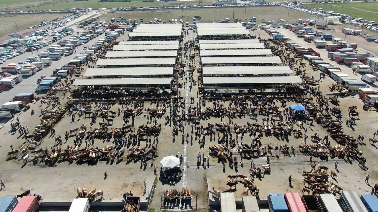 Şarkışla'da bölgenin en büyük hayvan pazarı şap riski nedeniyle geçici olarak kapatıldı
