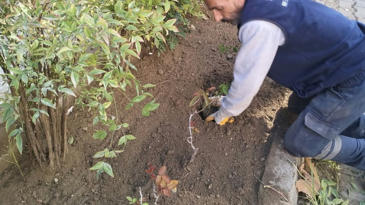 Şehzadeler’de parklarda yıl boyu özenli bakım uygulaması