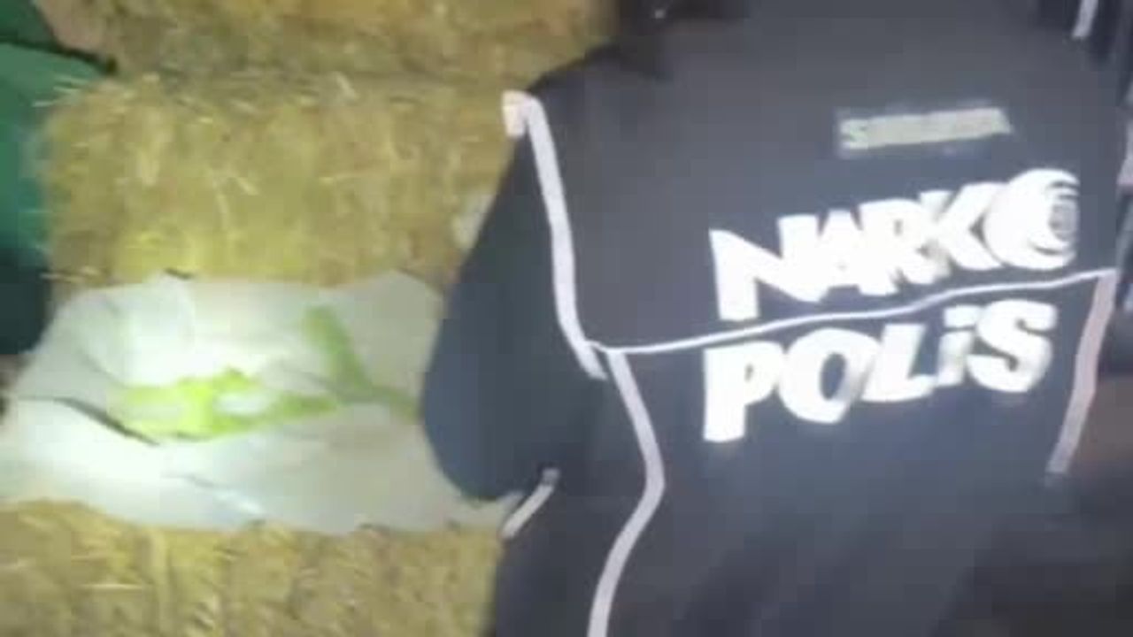 Serdivan'da 1 ton 958 kilogram bonzai potansiyeli taşıyan madde ele geçirildi