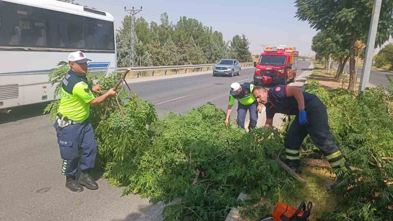 Şiddetli rüzgar Batman-Silvan karayolunda ağacı devirdi, itfaiye müdahale etti